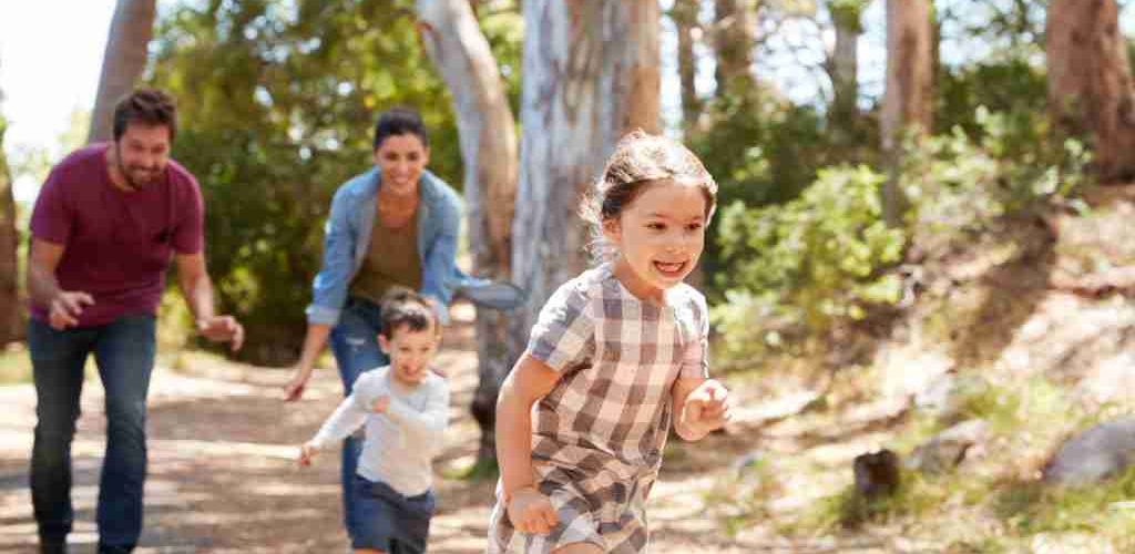 shutterstock_653697739-1024x683